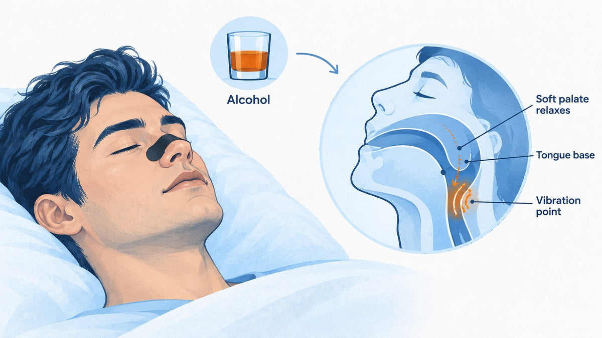 diagram showing how alcohol relaxes throat muscles and causes snoring