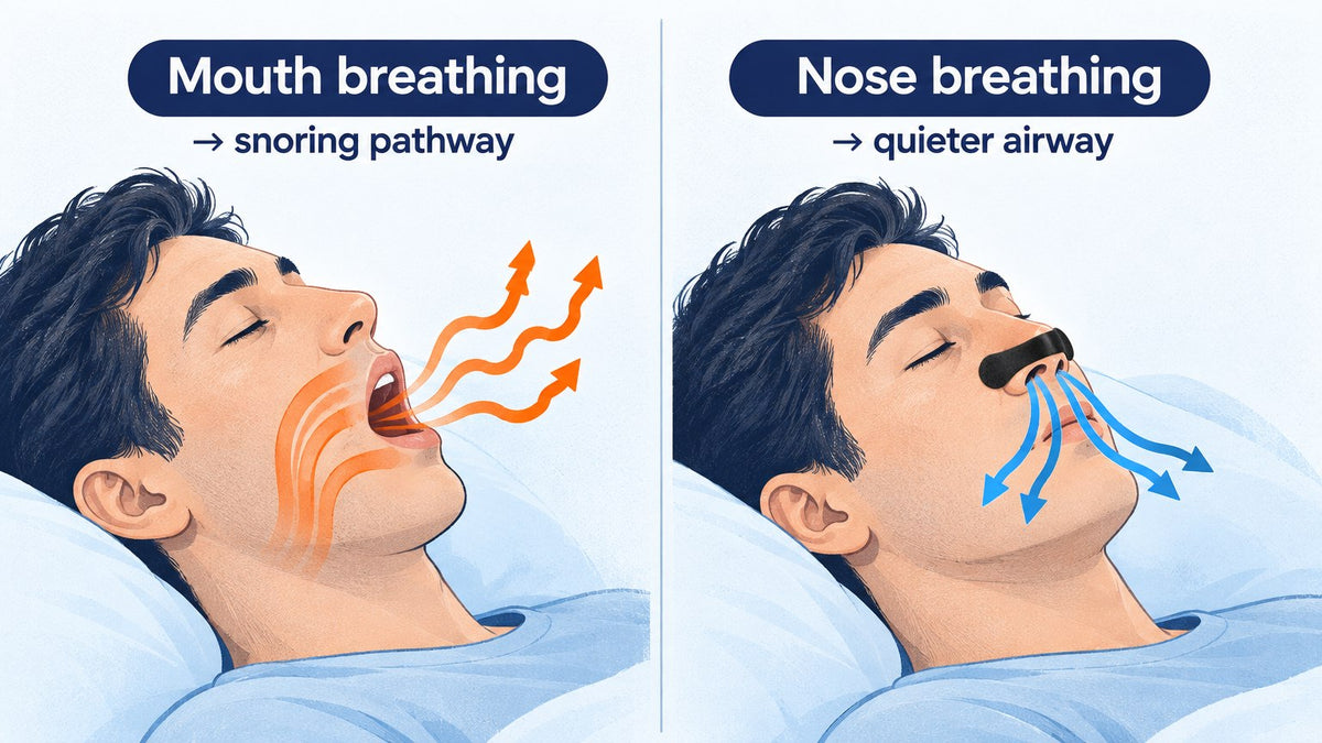Diagram comparing mouth-breathing snoring pathway versus nose-breathing airway during sleep