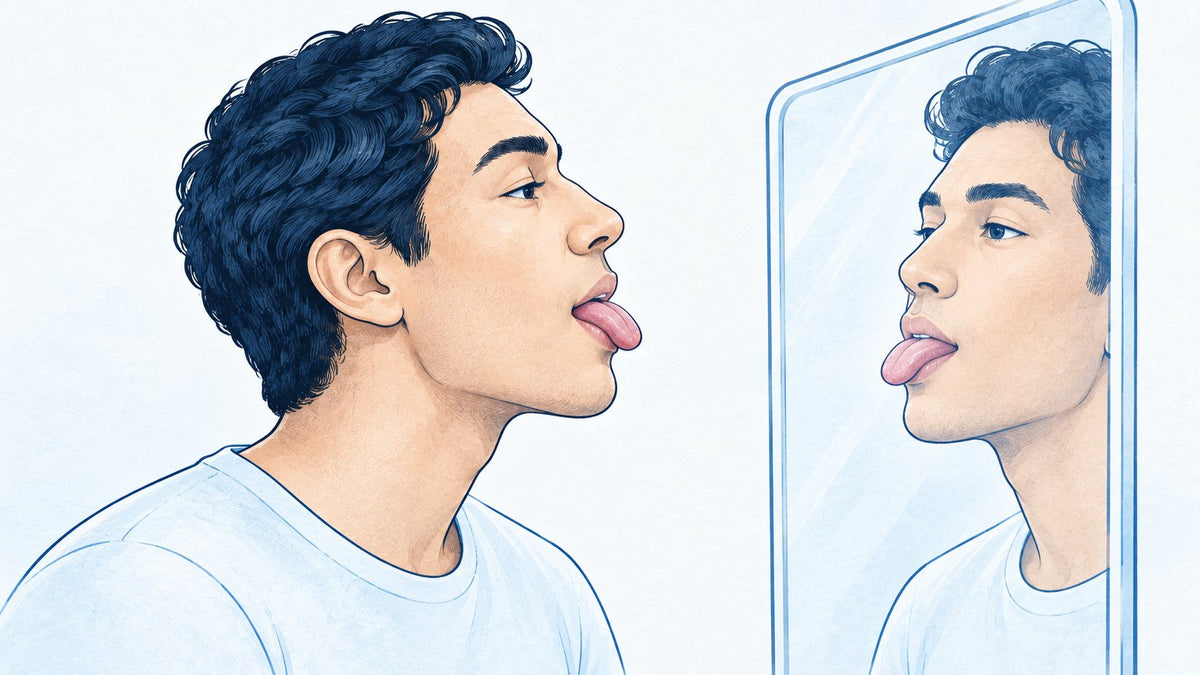 exercises to stop snoring – upper airway muscle diagram showing floppy versus toned soft palate