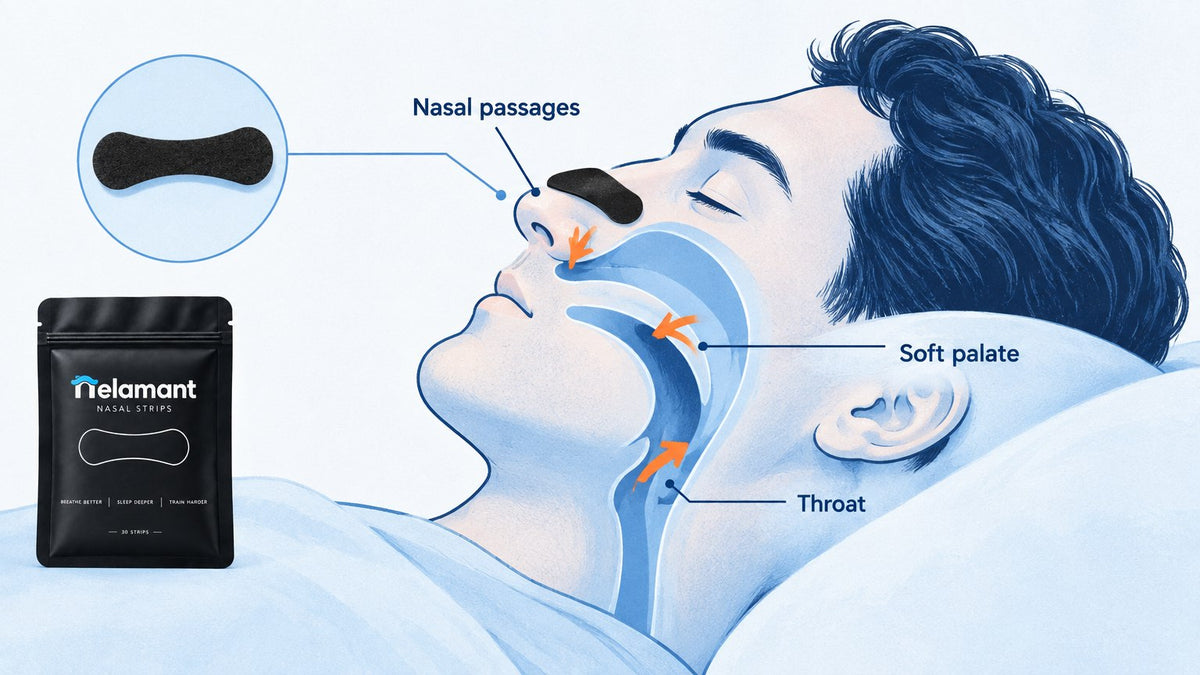diagram showing airway causes of waking up gasping for air